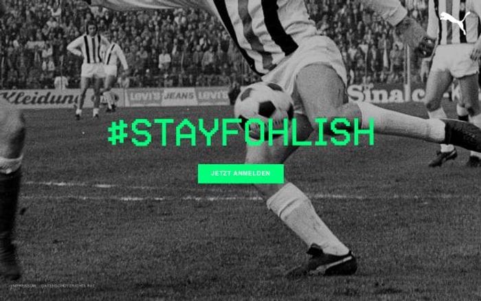 Stayfohlish website preview