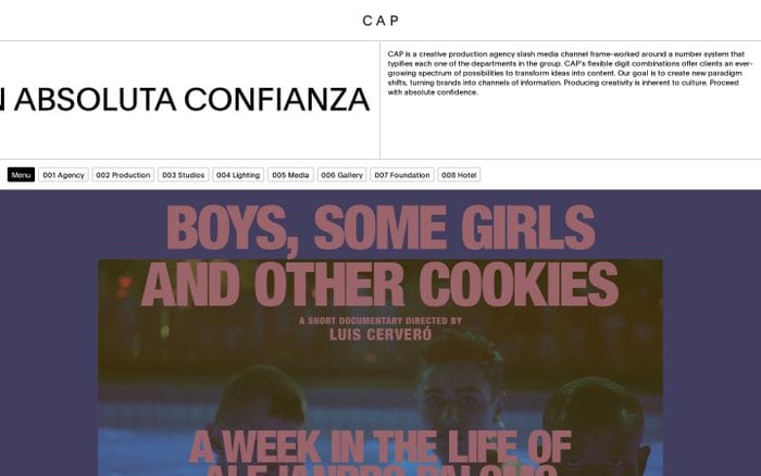 Cap website preview