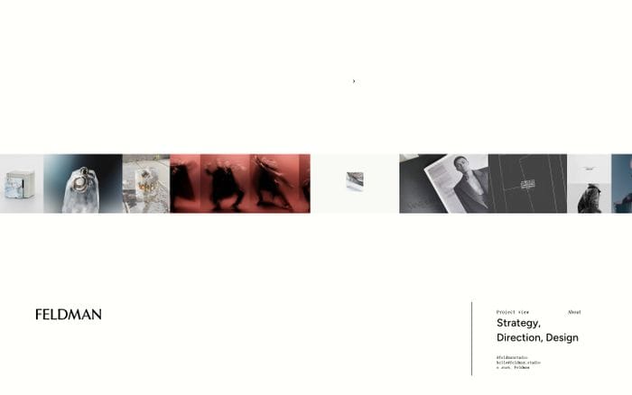 Feldman website preview