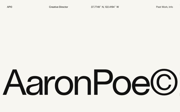 Aaron Poe & Co website preview