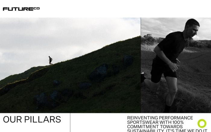 Future Co website preview