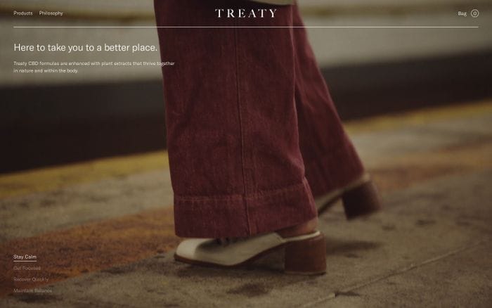 Treaty website preview