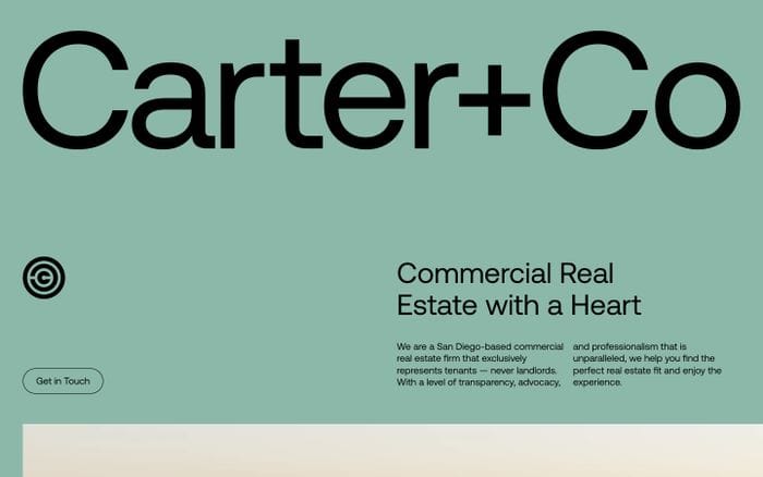 Carter + Co website preview