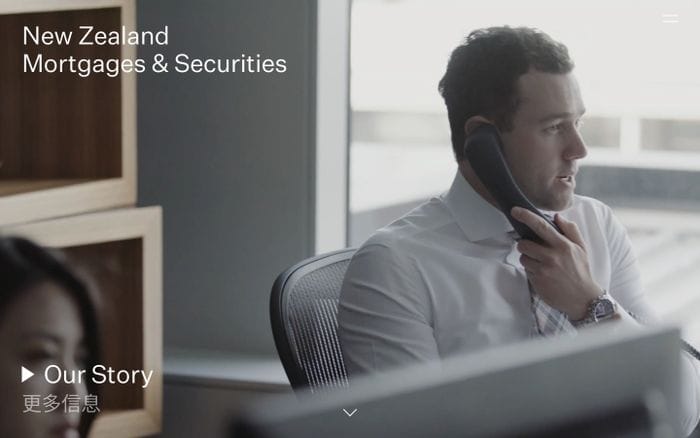 NZMS website preview