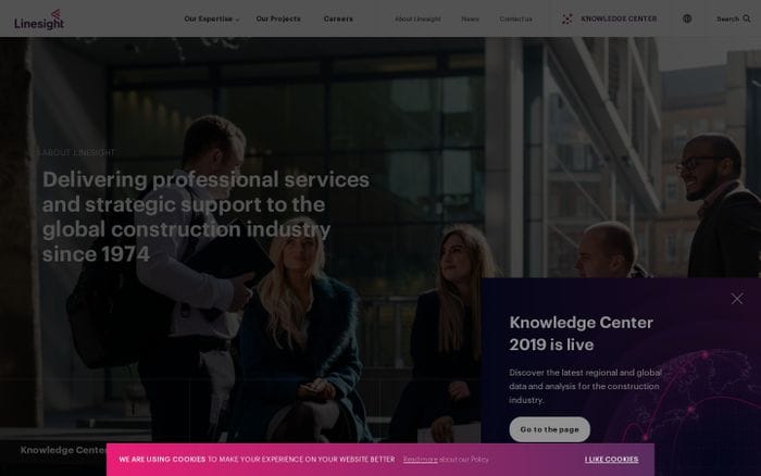 Linesight website preview
