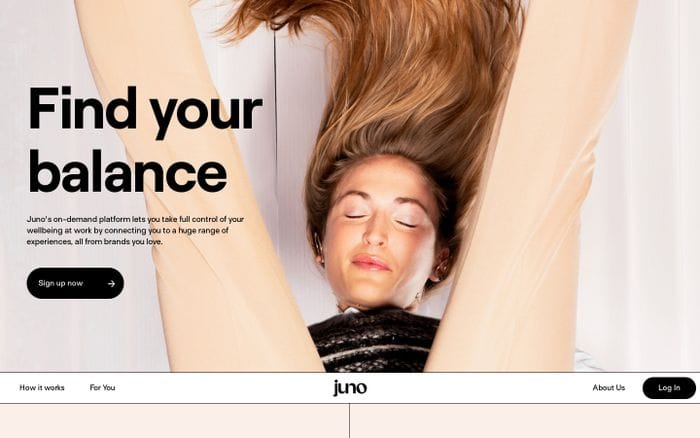 Juno website preview