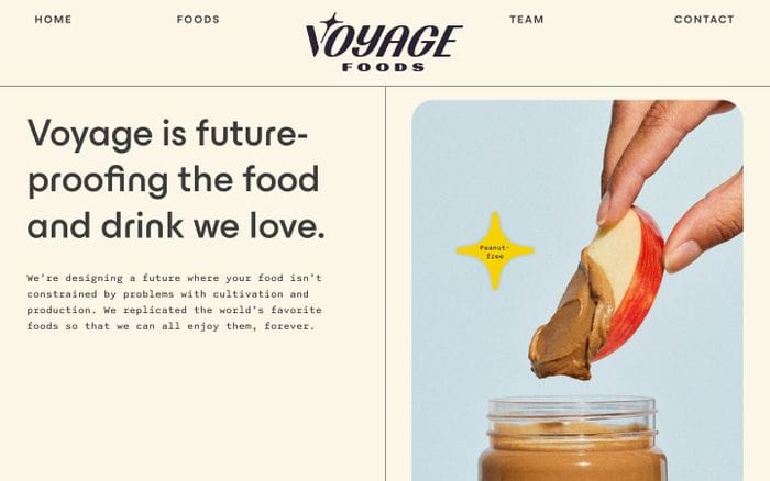Voyage Foods website preview