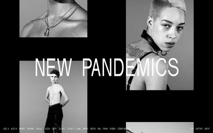 Newpandemics website preview