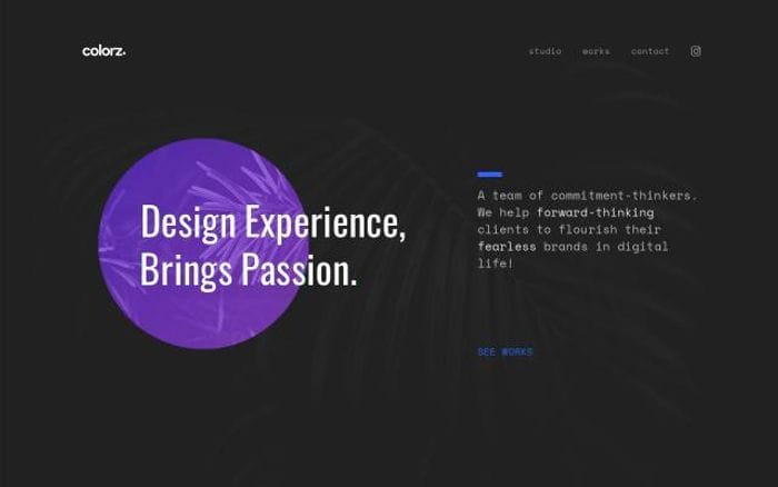We are Colorz website preview