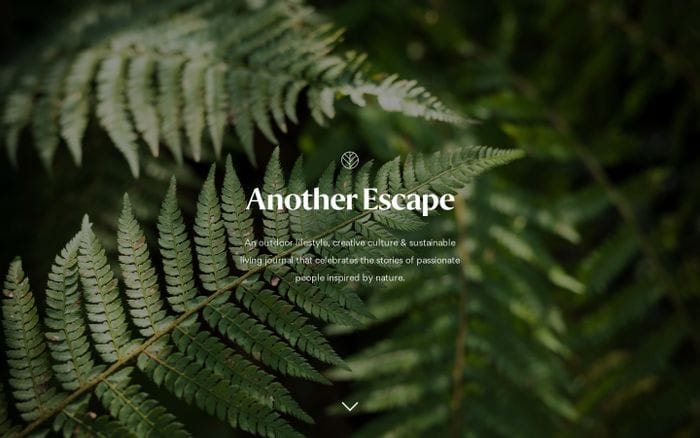 Another Escape website preview