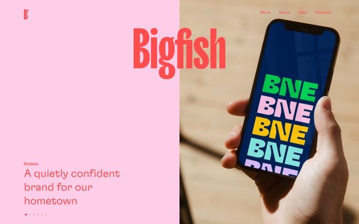 Bigfish website preview
