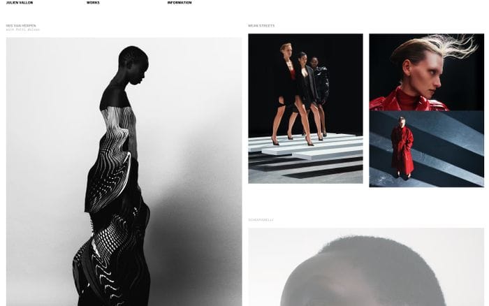 Julien Vallon website preview