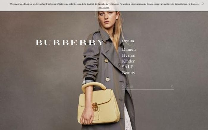 Burberry website preview