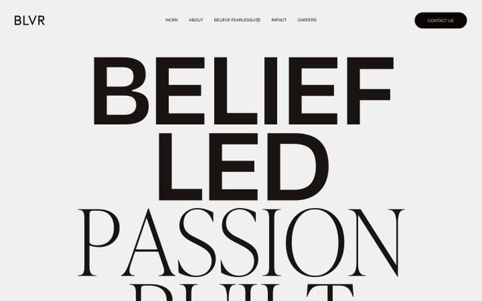 BLVR website preview