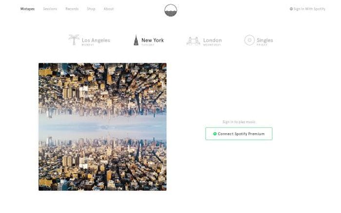 Noonpacific website preview