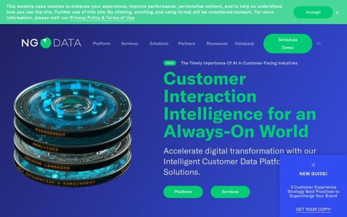 Ngdata website preview