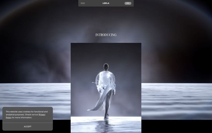 Leela website preview