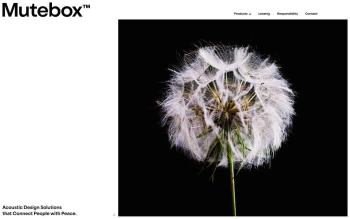 Mutebox website preview