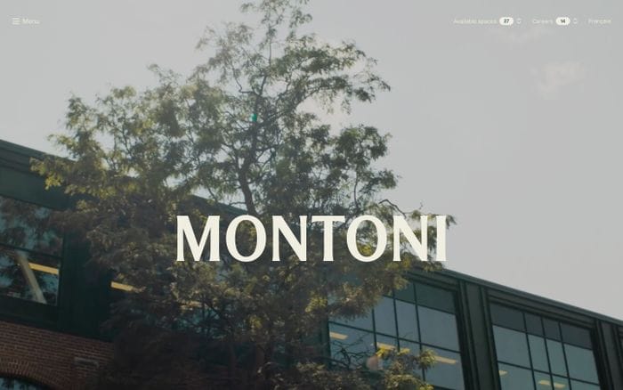 Montoni website preview