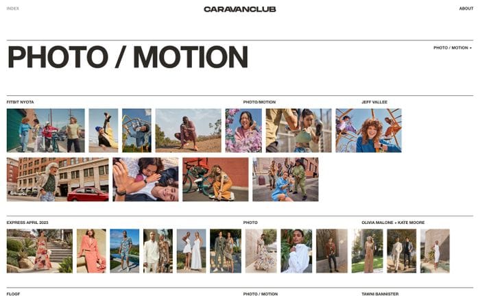 Caravan Club website preview