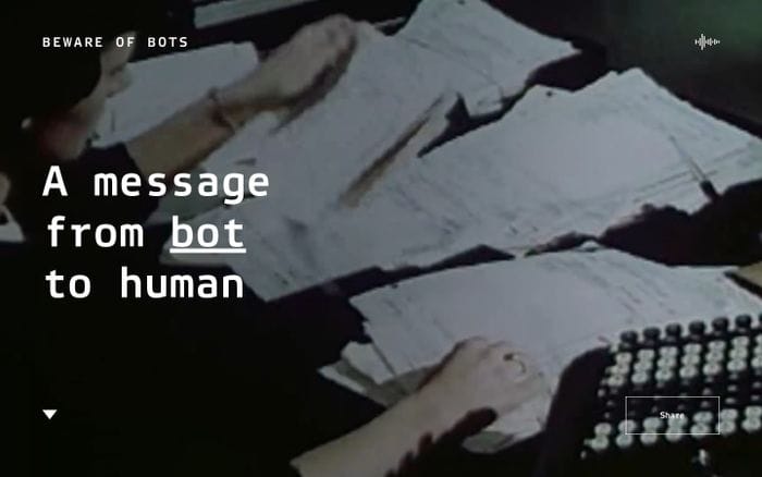 BEWARE OF BOTS website preview