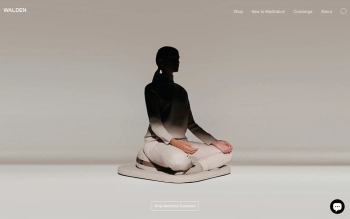 Walden website preview