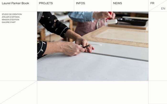 Laurel Parker Book website preview
