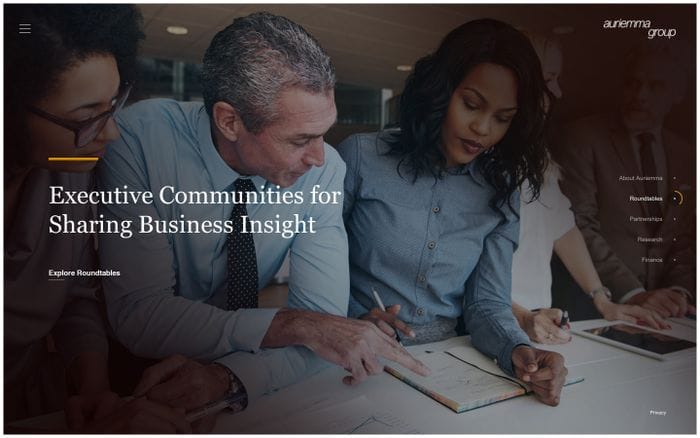 Payments and Lending Information and Advisory | Auriemma Group website preview