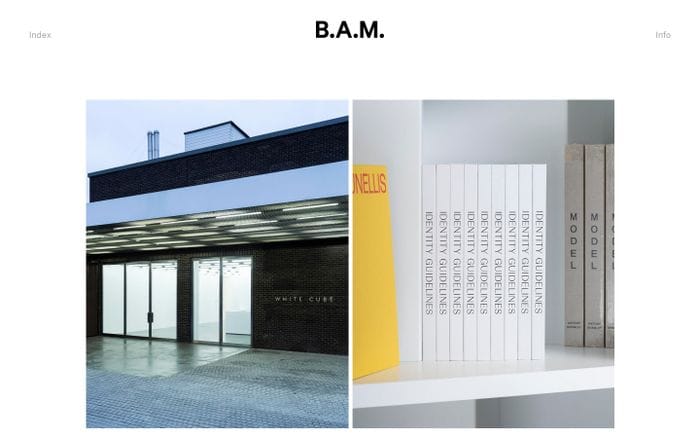 B.A.M. website preview
