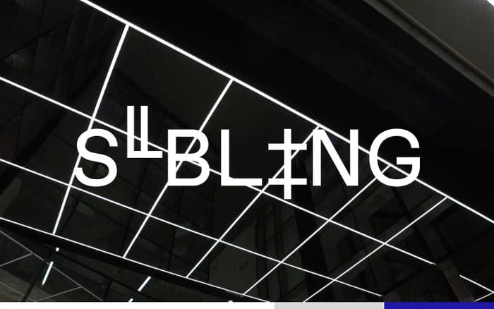 Sibling website preview