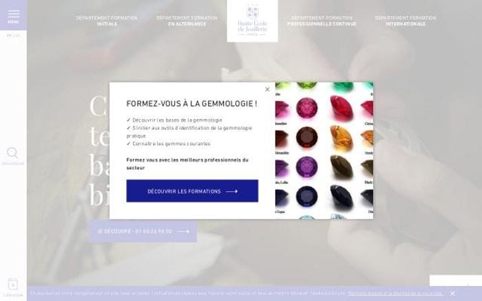 Hauteecoledejoaillerie website preview