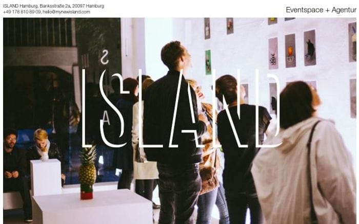 Mynewisland website preview