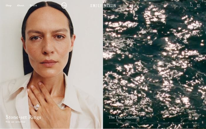 Emily Nixon website preview