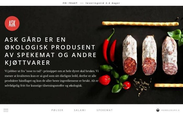 Askgard website preview