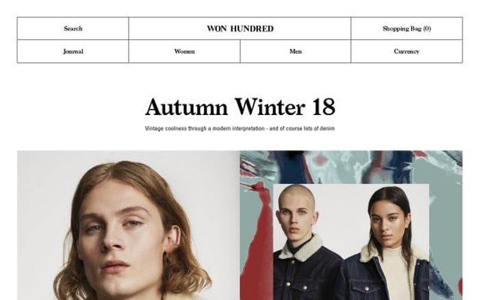 Wonhundred website preview
