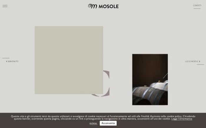 Mosole website preview