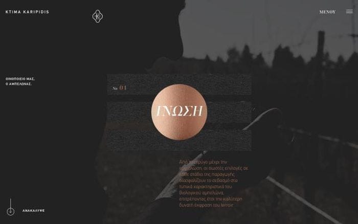 Karipidi website preview