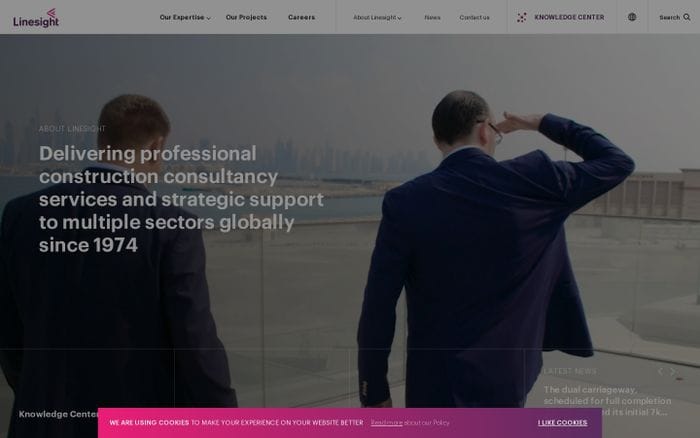 Linesight website preview