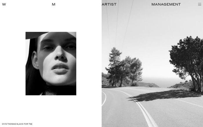 Wmartistmanagement website preview