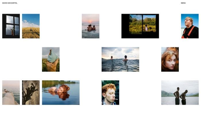 David van Dartel website preview