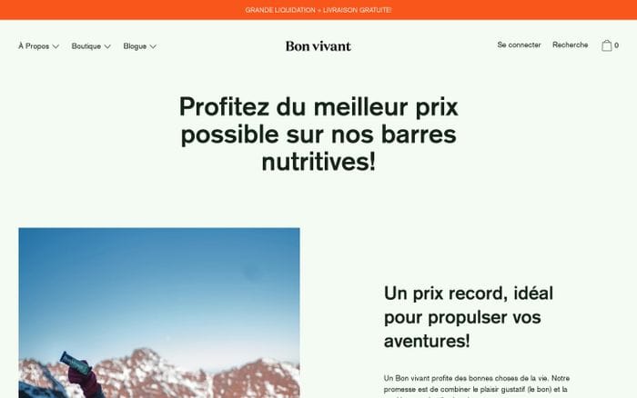 Bon vivant website preview