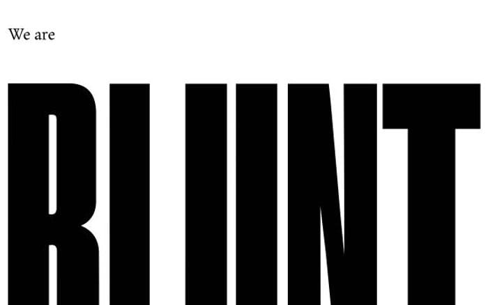 Blunt website preview