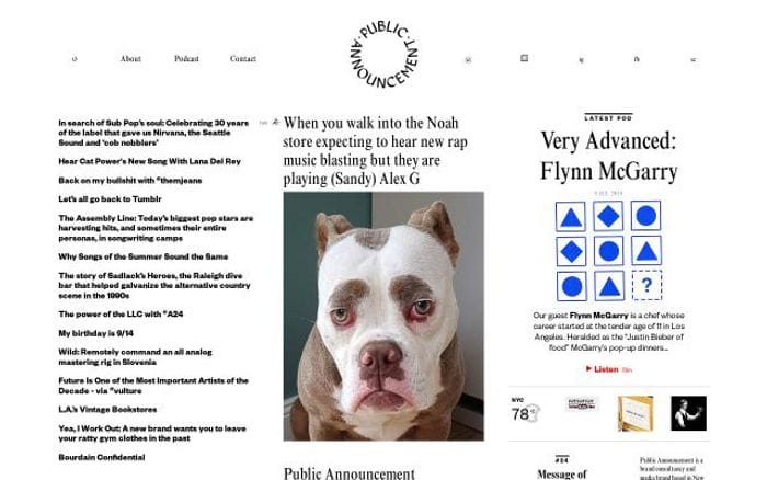Publicannouncement website preview