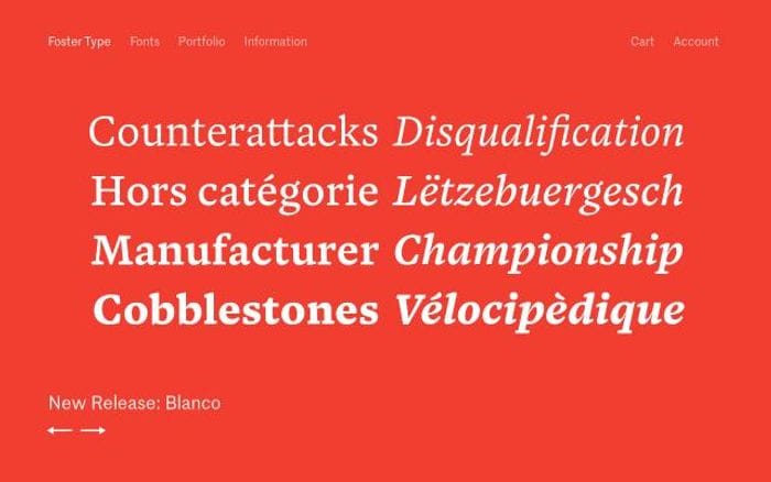 Fostertype website preview