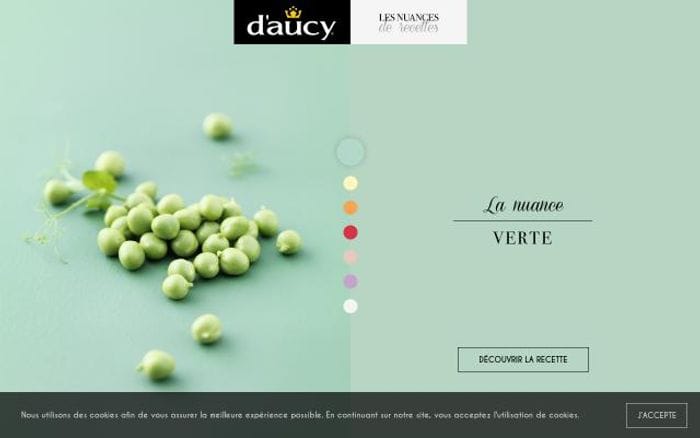 Daucy website preview