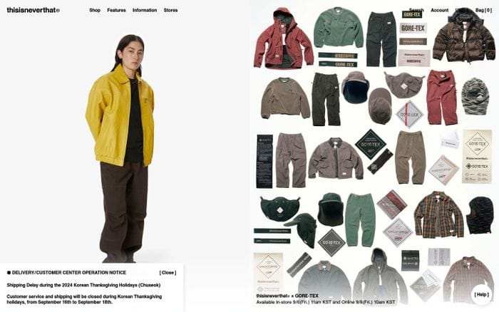 Thisisneverthat website preview