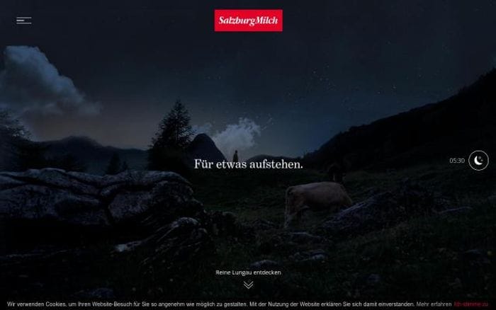 Reine-lungau website preview
