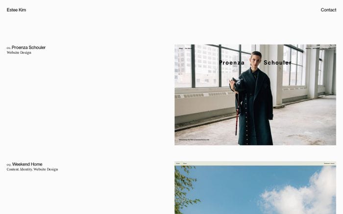 Estee kim website preview
