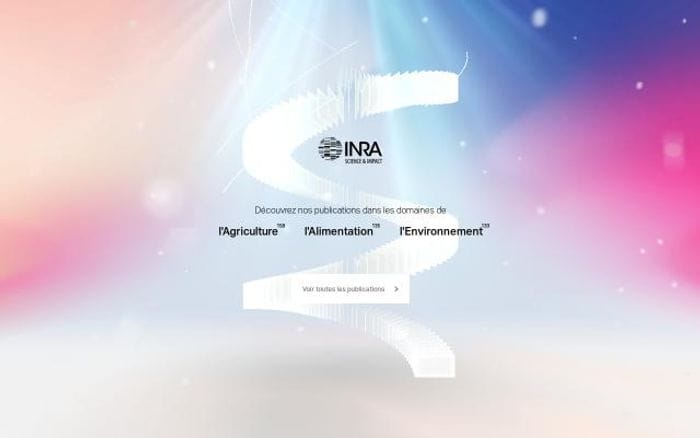 Faits-marquants website preview