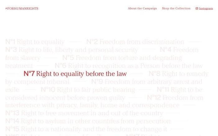 Forhumanrights website preview